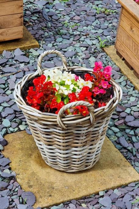 Cornish Village Getaway Gwennap エクステリア 写真